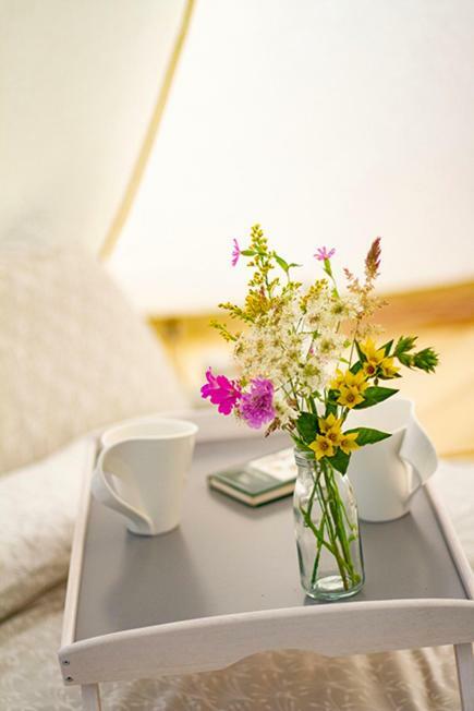 Lloyds Meadow Glamping 호텔 체스터 외부 사진